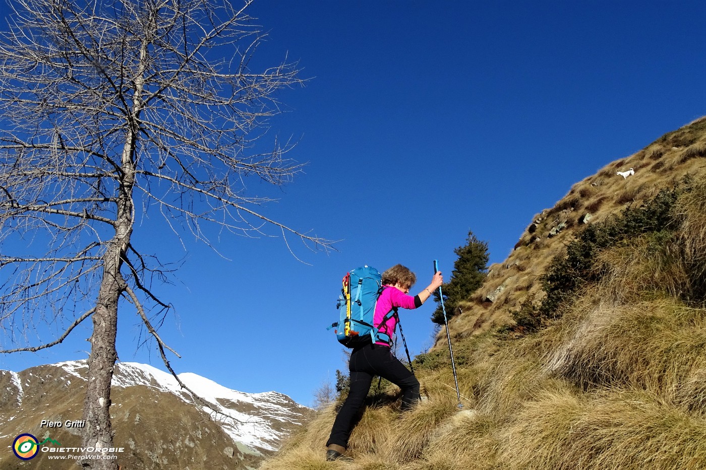 31 Sul costone erboso  accidentato in salita all'Arete.JPG